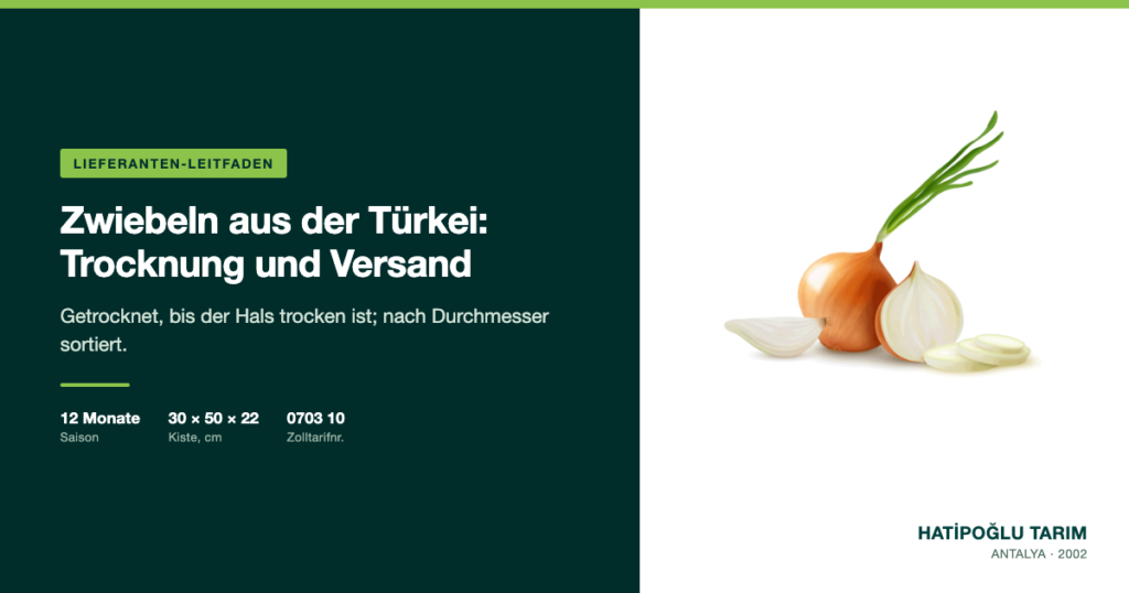 Zwiebeln aus der Türkei: Trocknung und Versand