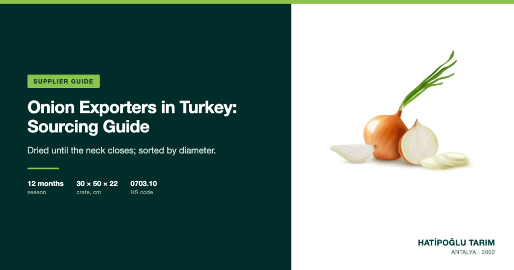 Onion Exporters in Turkey: Sourcing Guide