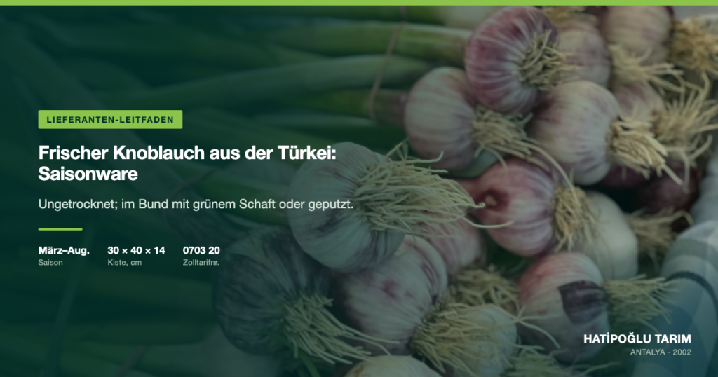 Frischer Knoblauch aus der Türkei: Saisonware