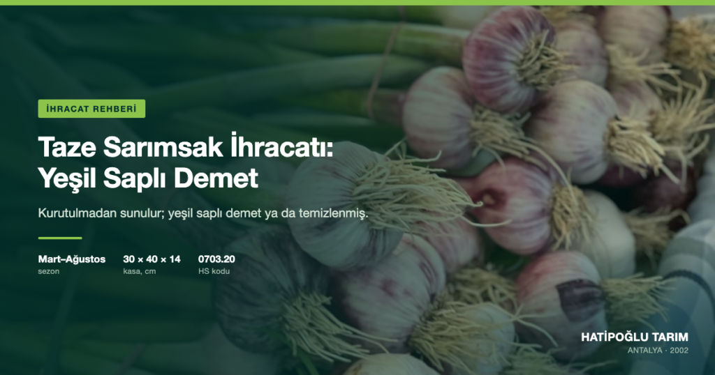 Taze Sarımsak İhracatı: Yeşil Saplı Demet