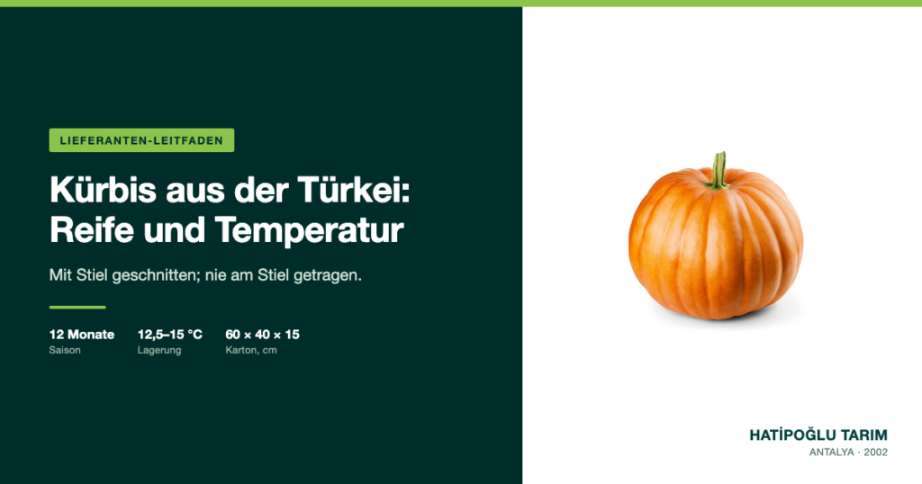 Kürbis aus der Türkei: Reife und Temperatur