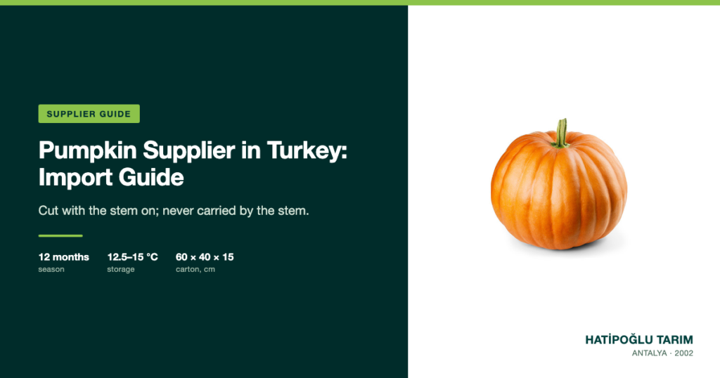 Pumpkin Supplier in Turkey: Import Guide