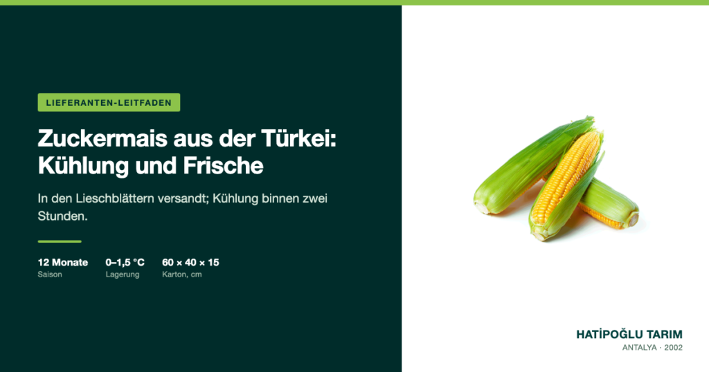 Zuckermais aus der Türkei: Kühlung und Frische