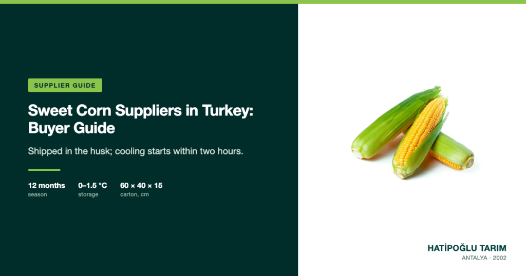 Sweet Corn Suppliers in Turkey: Buyer Guide