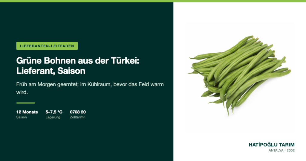 Grüne Bohnen aus der Türkei: Lieferant, Saison