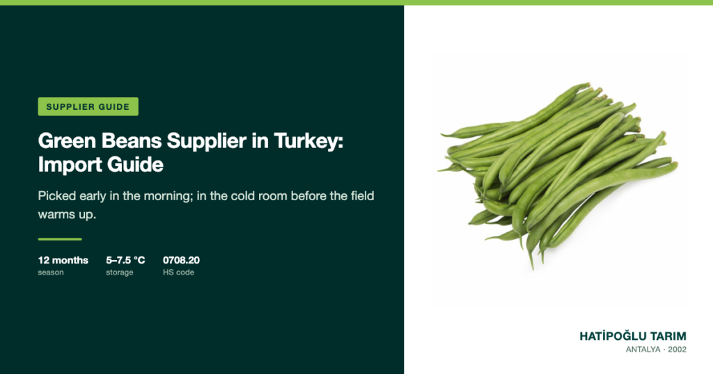 Green Beans Supplier in Turkey: Import Guide