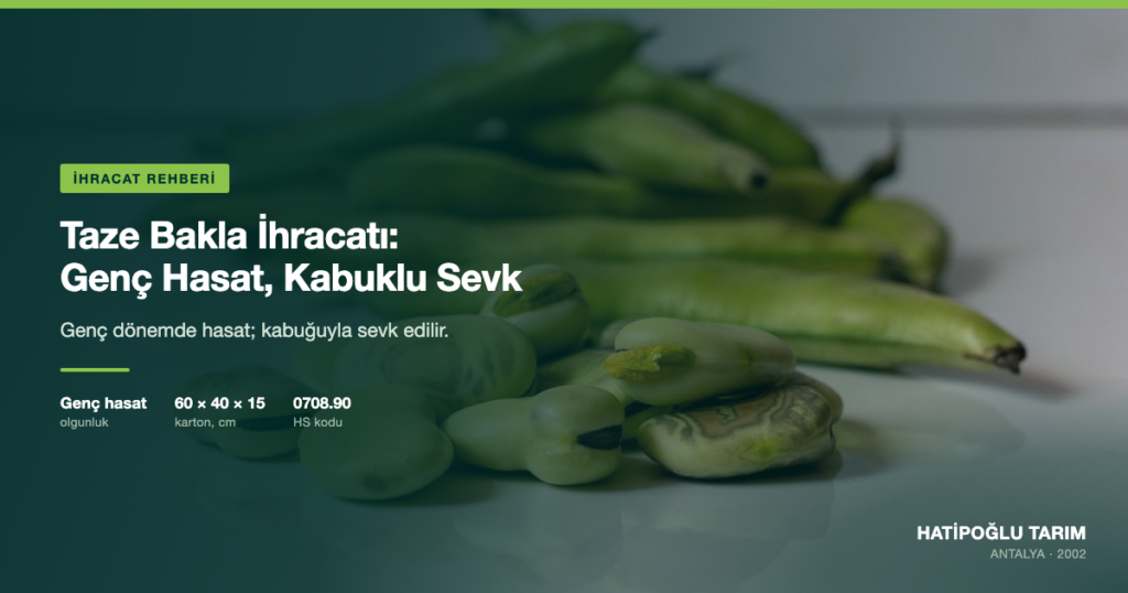 Taze Bakla İhracatı: Genç Hasat, Kabuklu Sevk