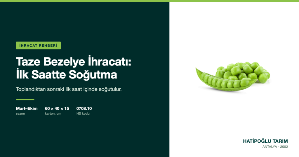 Taze Bezelye İhracatı: İlk Saatte Soğutma