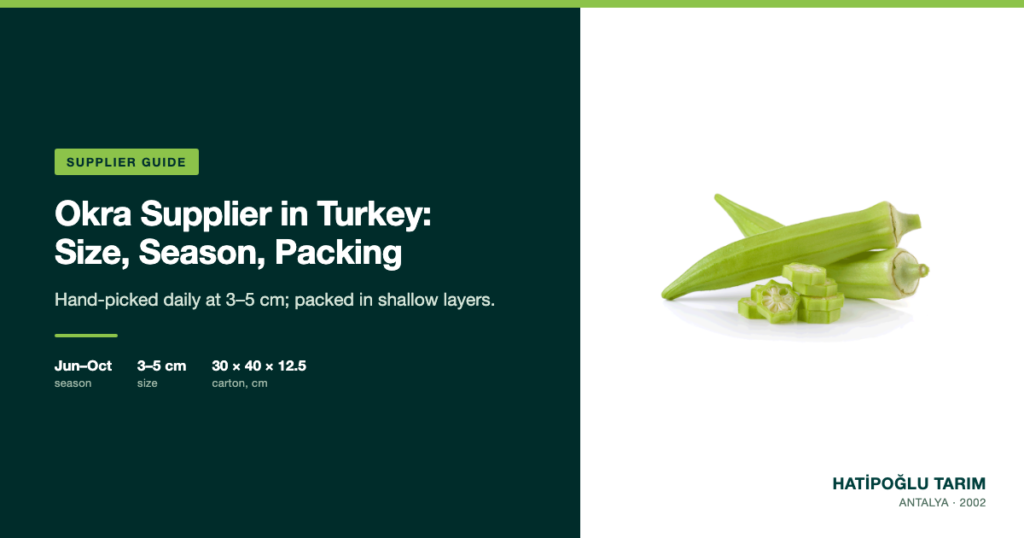 Okra Supplier in Turkey: Size, Season, Packing