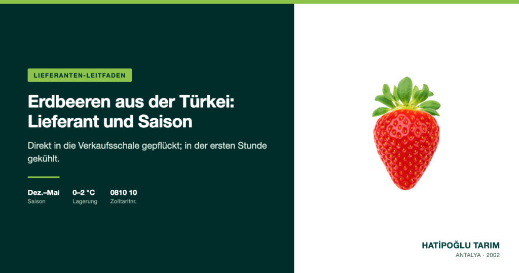 Erdbeeren aus der Türkei: Lieferant und Saison