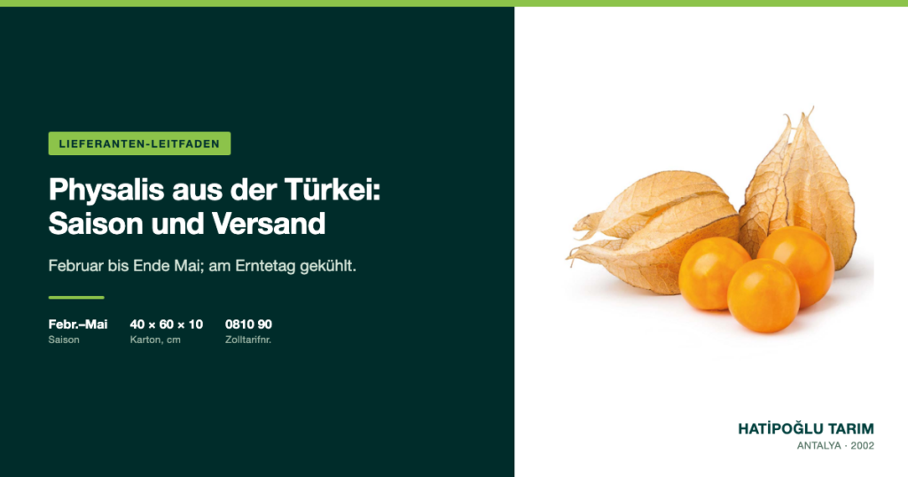 Physalis aus der Türkei: Saison und Versand