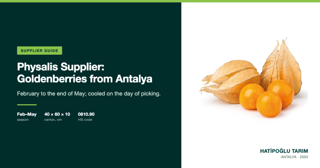Physalis Supplier: Goldenberries from Antalya