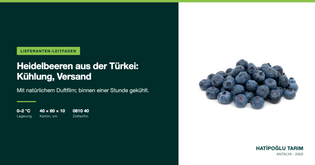 Heidelbeeren aus der Türkei: Kühlung, Versand