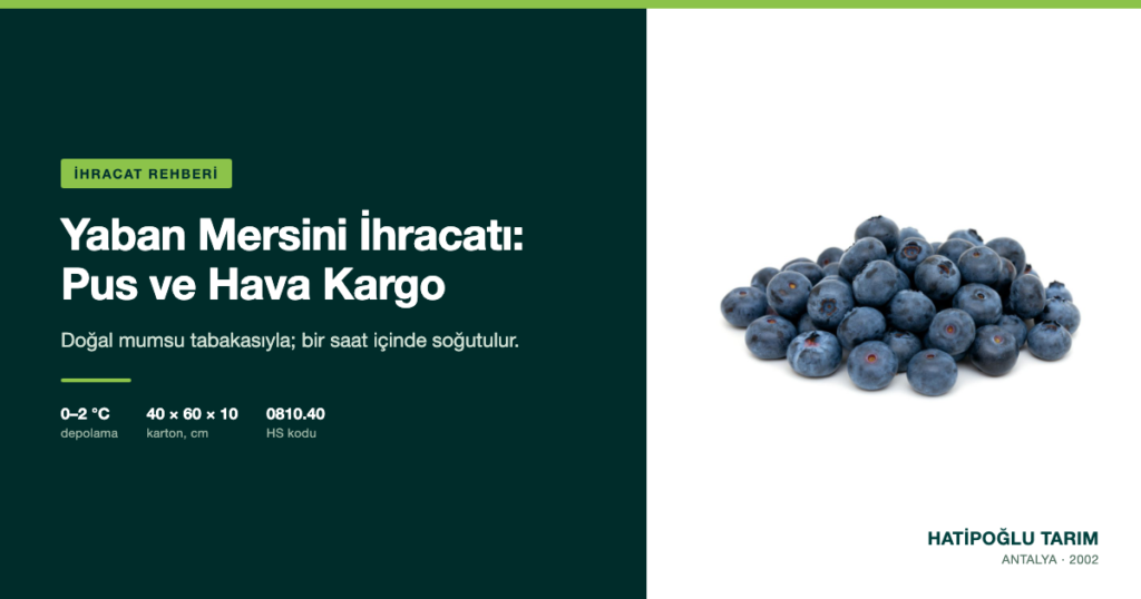Yaban Mersini İhracatı: Pus ve Hava Kargo