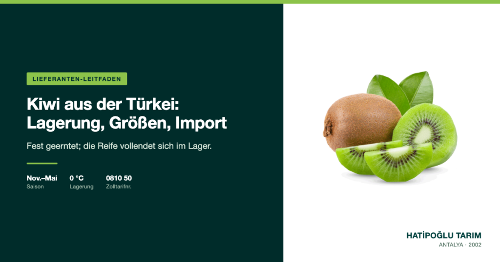 Kiwi aus der Türkei: Lagerung, Größen, Import