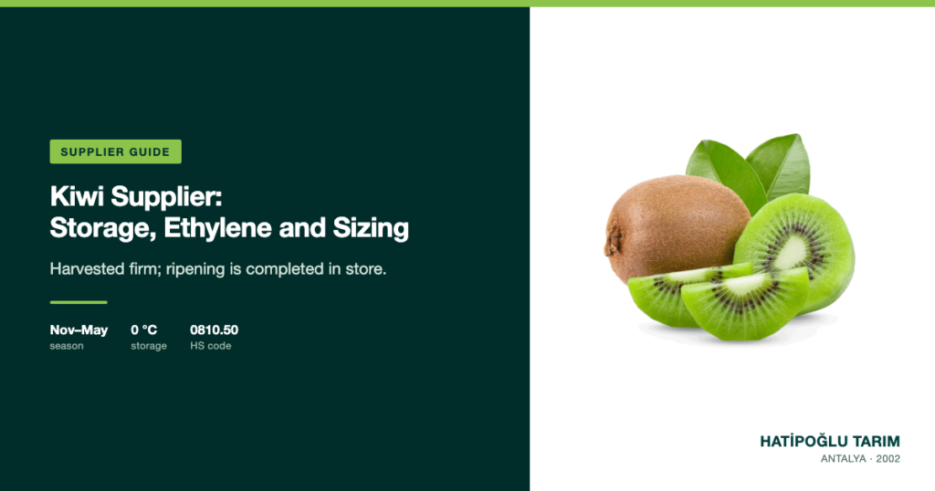 Kiwi Supplier: Storage, Ethylene and Sizing