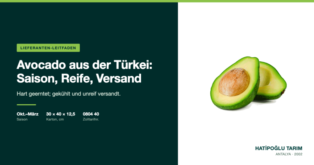 Avocado aus der Türkei: Saison, Reife, Versand