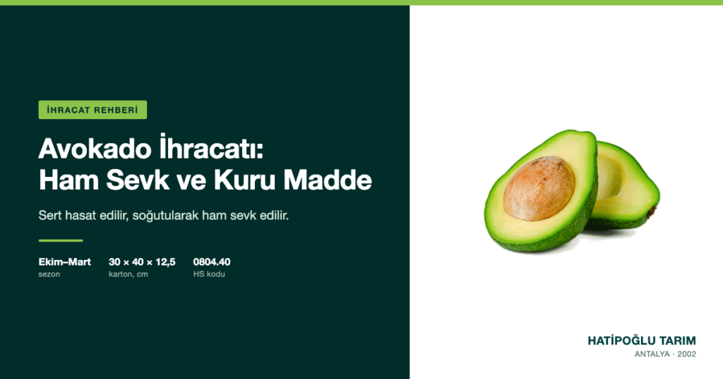 Avokado İhracatı: Ham Sevk ve Kuru Madde