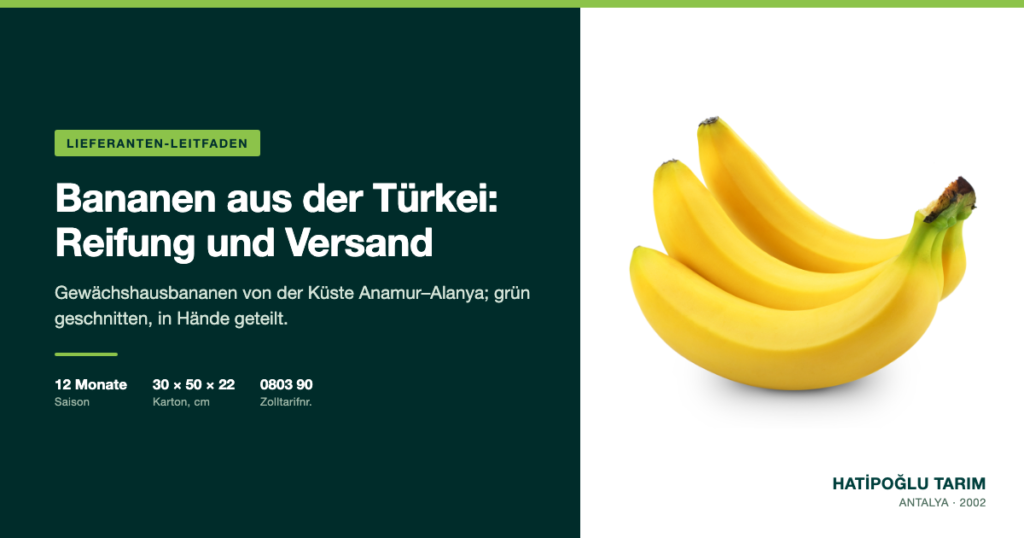 Bananen aus der Türkei: Reifung und Versand