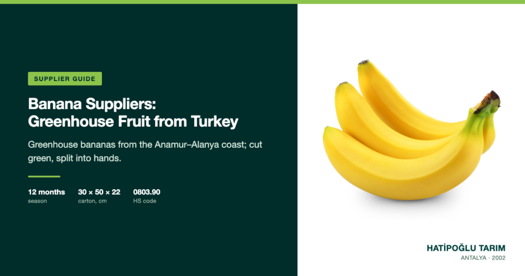 Banana Suppliers: Greenhouse Fruit from Turkey