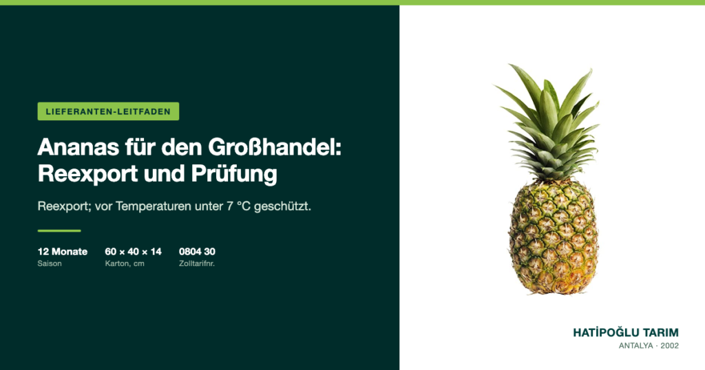 Ananas für den Großhandel: Reexport und Prüfung