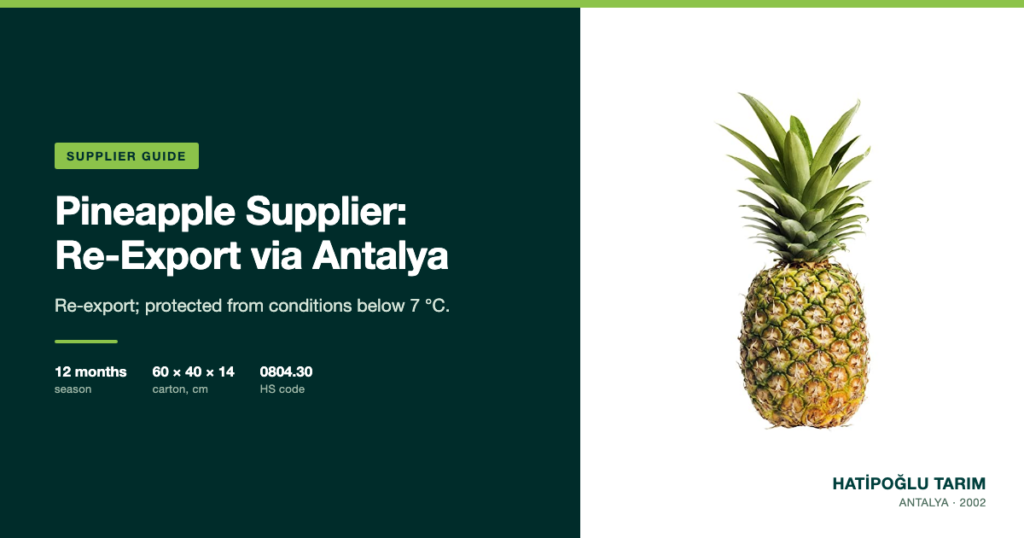 Pineapple Supplier: Re-Export via Antalya