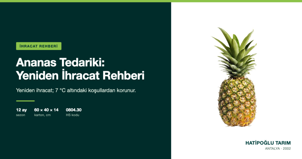 Ananas Tedariki: Yeniden İhracat Rehberi