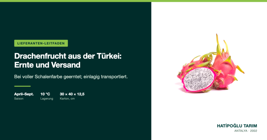 Drachenfrucht aus der Türkei: Ernte und Versand