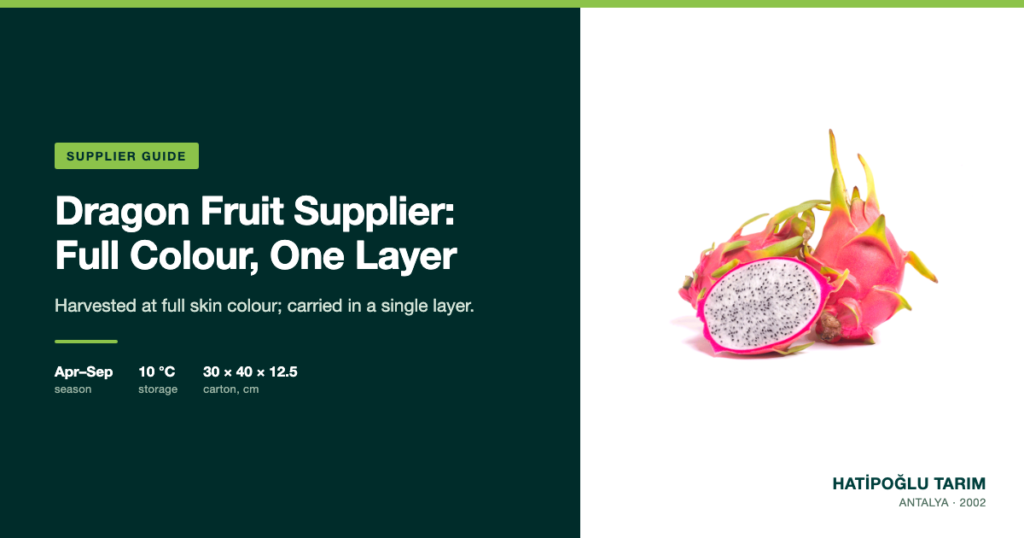 Dragon Fruit Supplier: Full Colour, One Layer